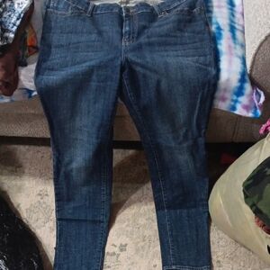 Eunina Blue Skinny Jeans with Timeless Denim Appeal